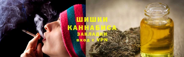 шишки Михайловск