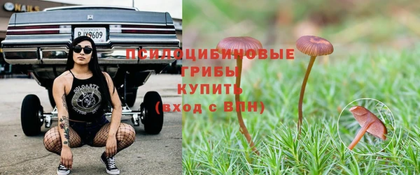 спиды Абдулино